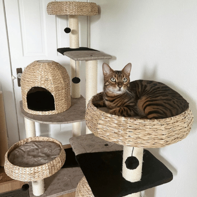 Cozy Woven Basket Cat Tree and Activity Area