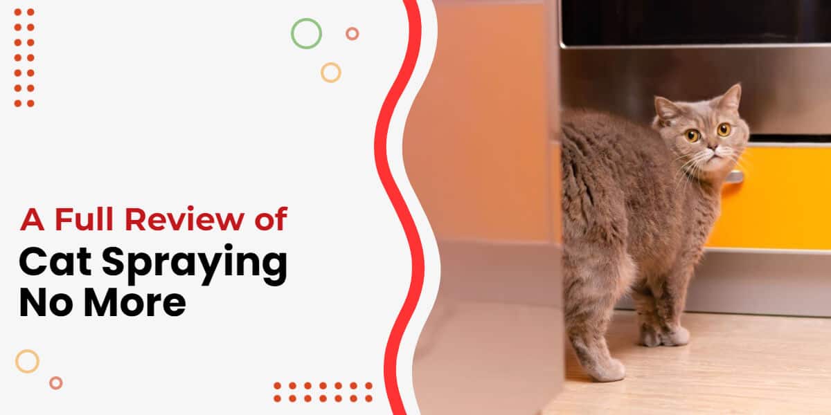 Cat Spraying No More Review