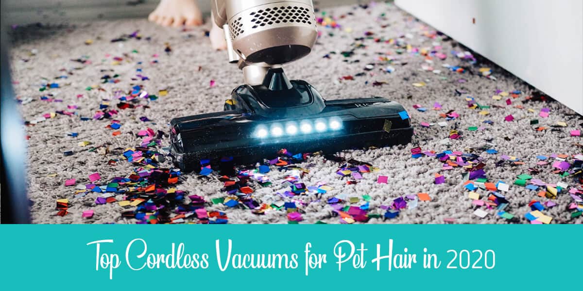 The 12 Best Cordless Vacuums for Pet Hair Reviewed Raise a Cat