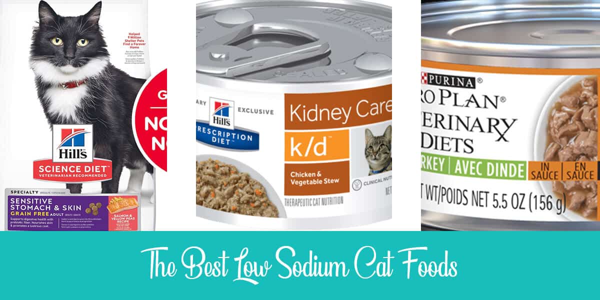 low sodium canned cat food