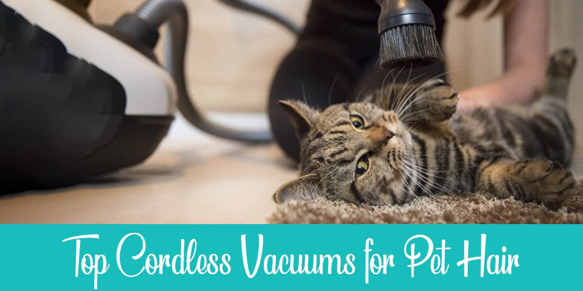 The 8 Best Cordless Vacuums for Pet Hair Reviewed