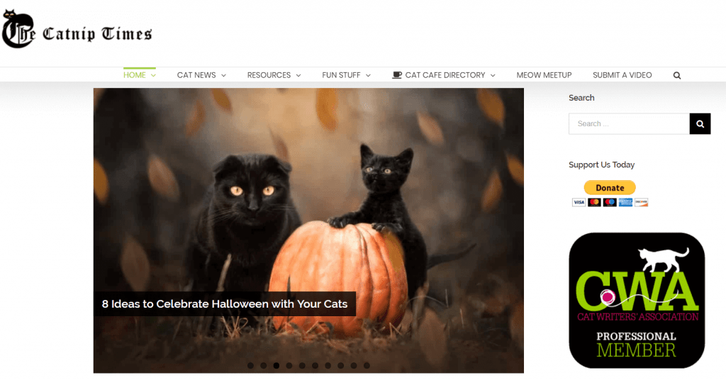 The Catnip Times Cat Blog