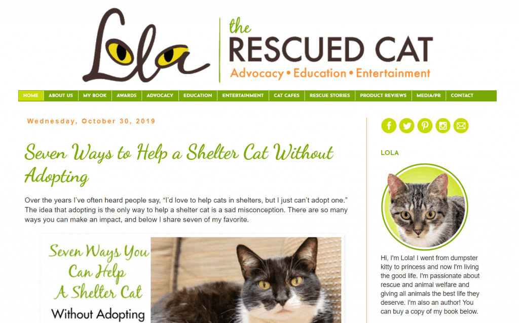 Lola the Rescued Cat