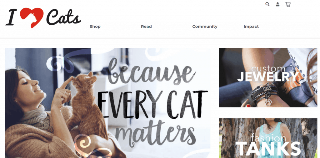 The 15 Best Cat Blogs You Should Follow In 2021 | Raise A Cat