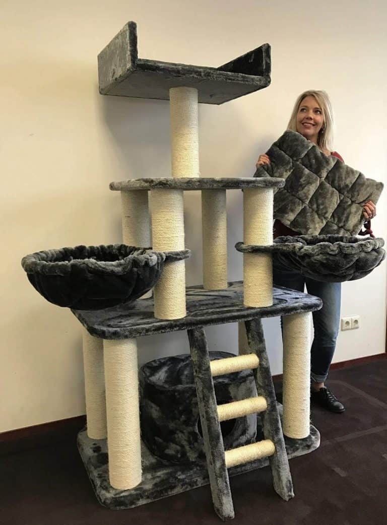 Best Cat Trees For Large Cats 15 Choices For 2021 Raise A Cat 8273