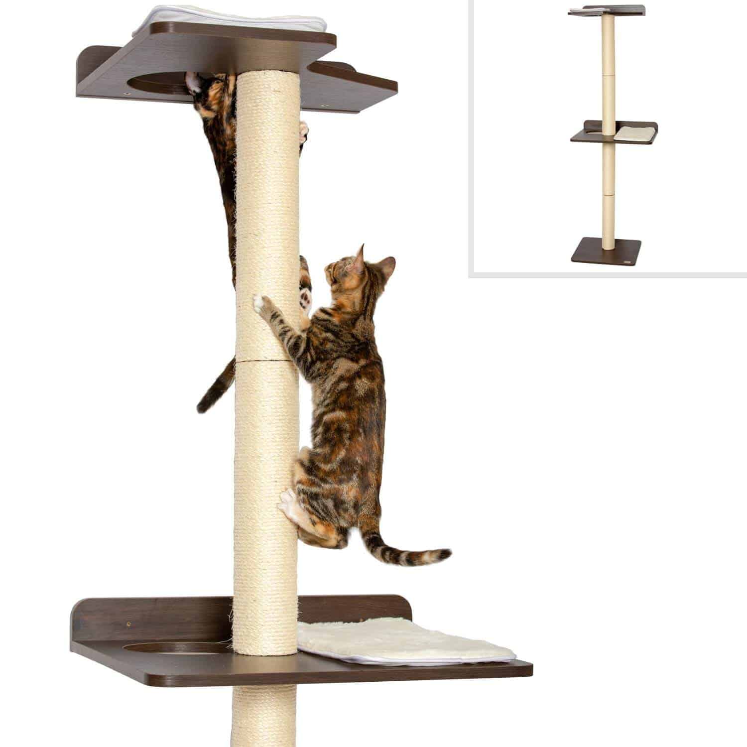 Best Cat Trees For Large Cats 15 Choices For 2021 Raise A Cat