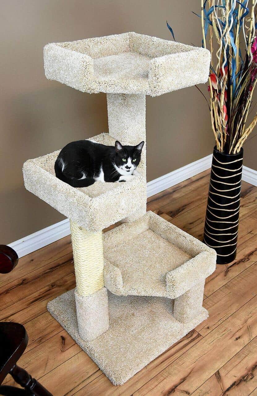 cat tower for fat cats