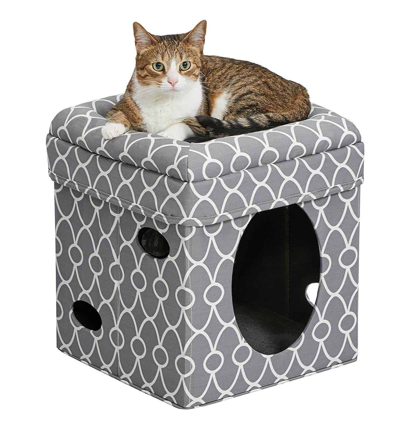 MidWest Curious Cat Cube
