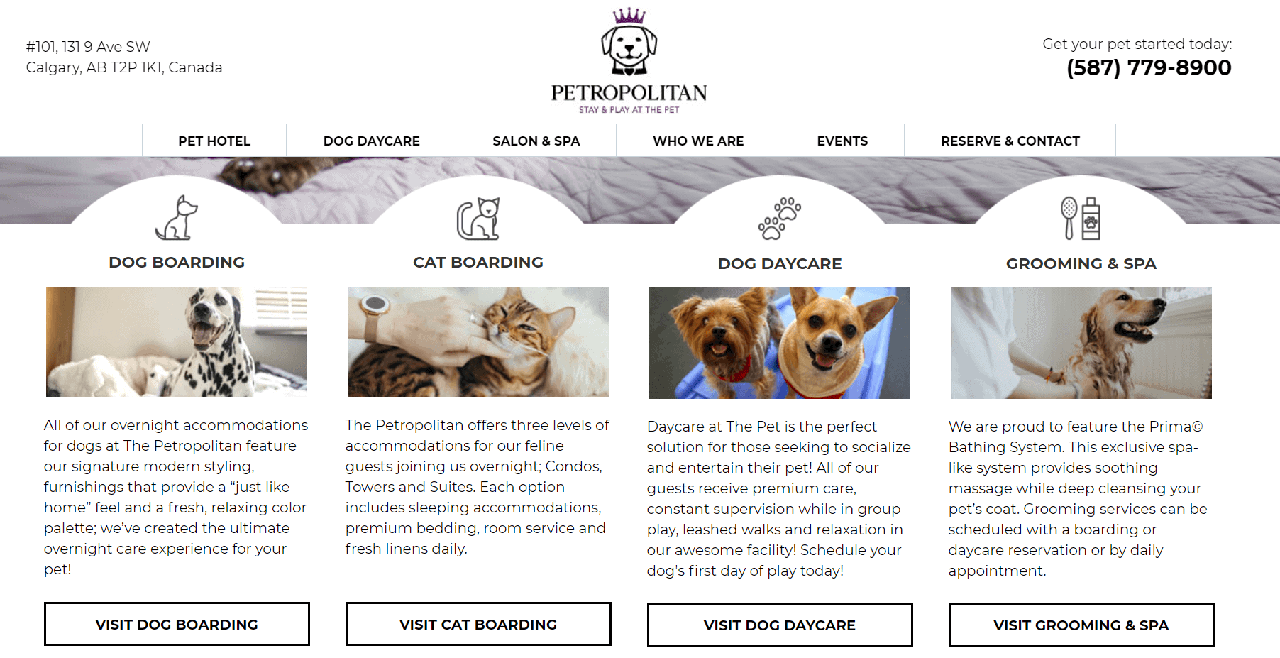 The Petropolitan cat boarding facility website