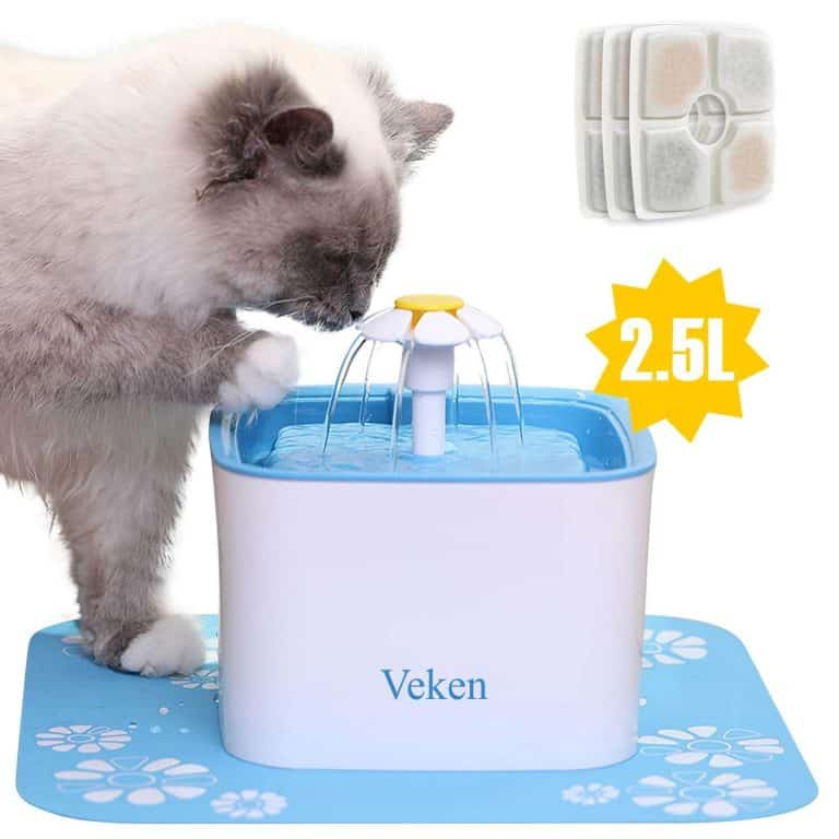The Best 5 Quiet Cat Water Fountains in 2022 Raise a Cat