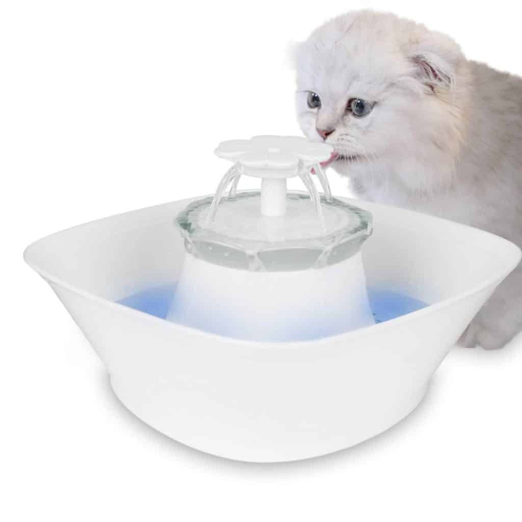 The Best 5 Quiet Cat Water Fountains in 2022 | Raise a Cat