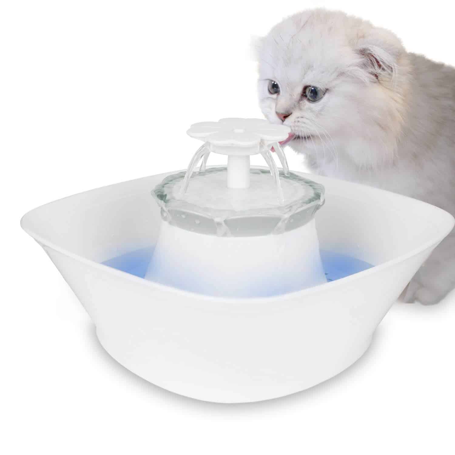 The Best 5 Quiet Cat Water Fountains in 2022 Raise a Cat