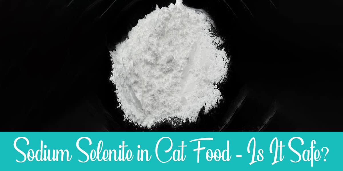 Sodium Selenite in Cat Food: All You Need to Know