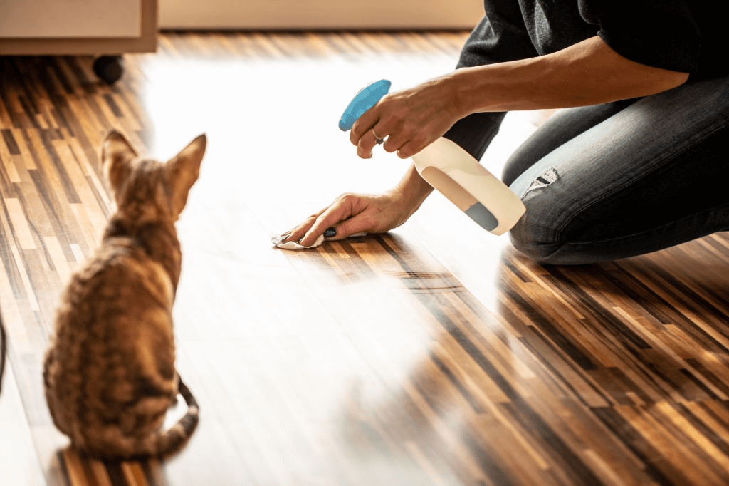 How to Clean Cat Pee 