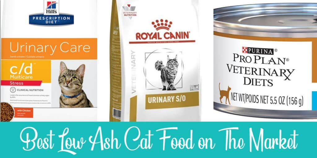 Best Low Ash Cat Food on The Market in 2021 Raise a Cat