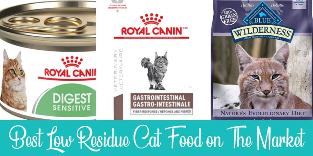 Best 3 Low Residue Cat Foods In 2024 [+ Buyers Guide]