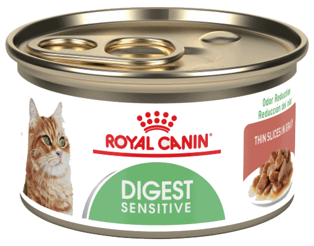 best canned cat food for constipation