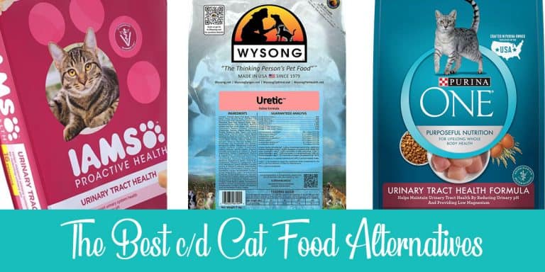 The Best 3 c/d Cat Food Alternatives Reviewed [2024]