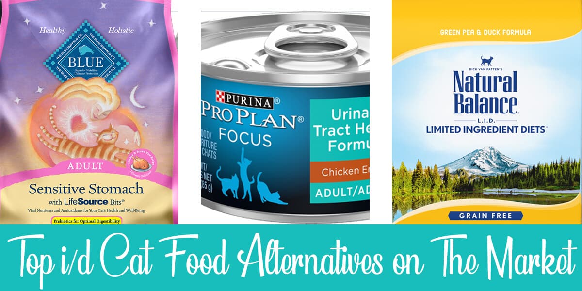 i/d Cat Food Alternatives: Best 5 Picks Reviewed