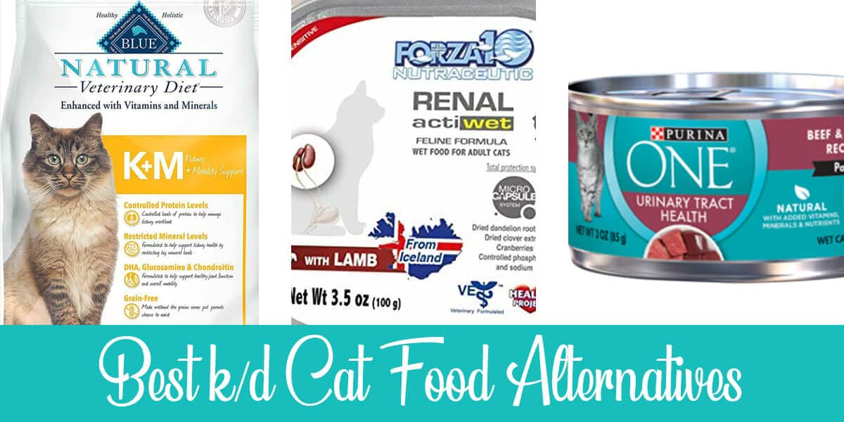 k/d Cat Food Alternatives: Top 3 Reviewed (2022)