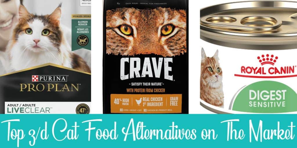 The Best 3 z/d Cat Food Alternatives in 2023 | Raise a Cat