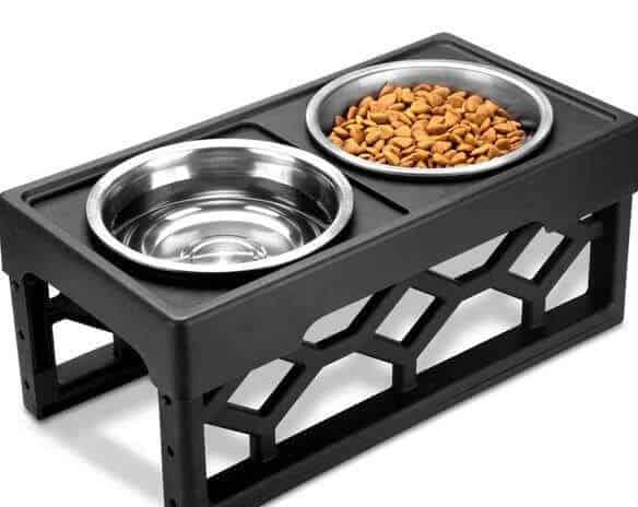 AVERYDAY-Raised-Dog-Bowls-Elevated-–-Best-Overall