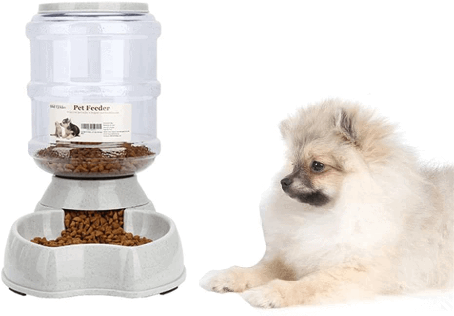 cheapest microchip cat feeder