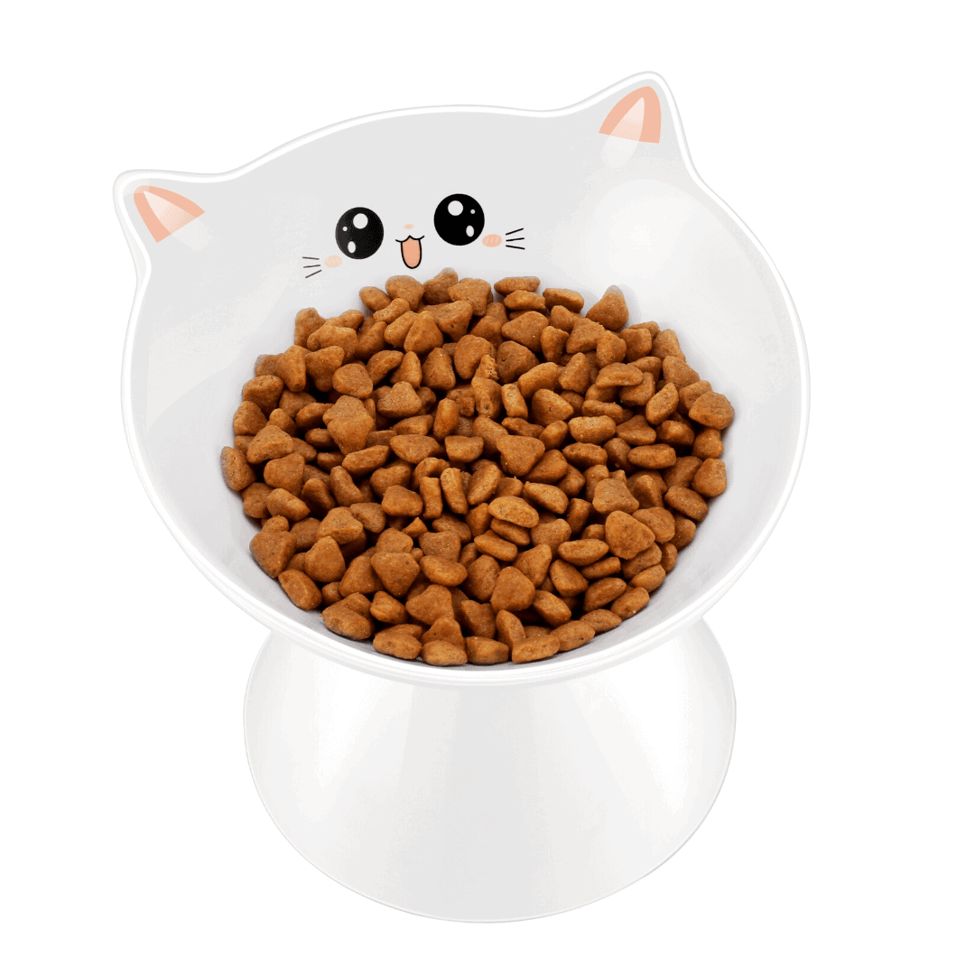 Lollimeow-Ceramic-Raised-Cat-Bowls-–-Best-Budget-Choice