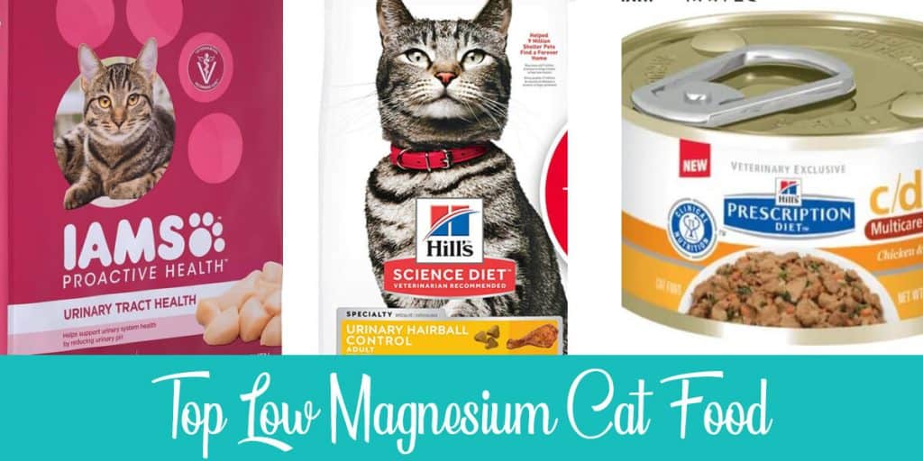 Low Magnesium Cat Food Reviews and Buying Guide Raise a Cat