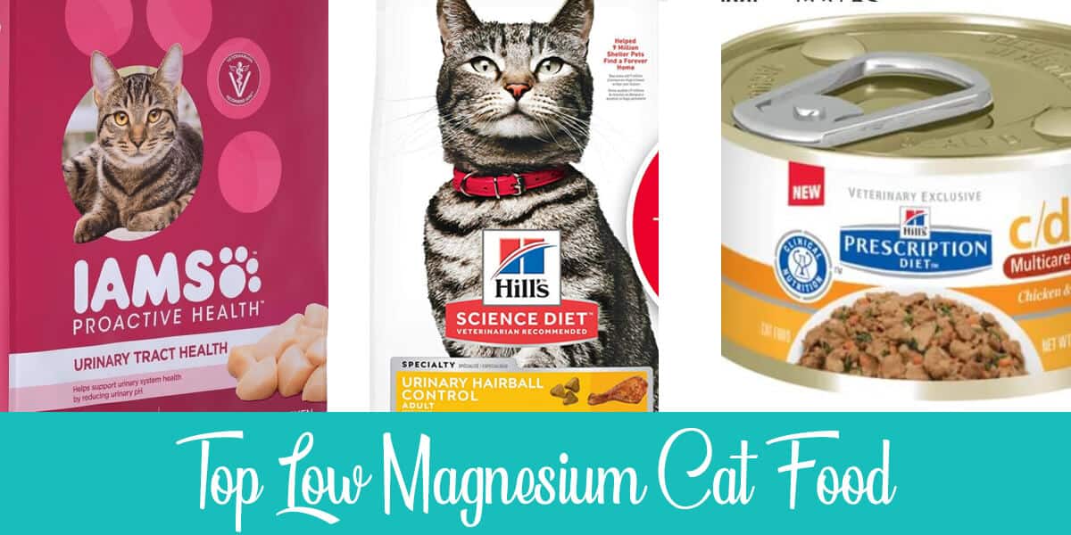 magnesium in cat food