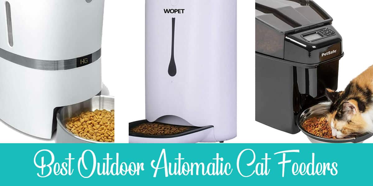 ideas for outdoor auto cat feeder