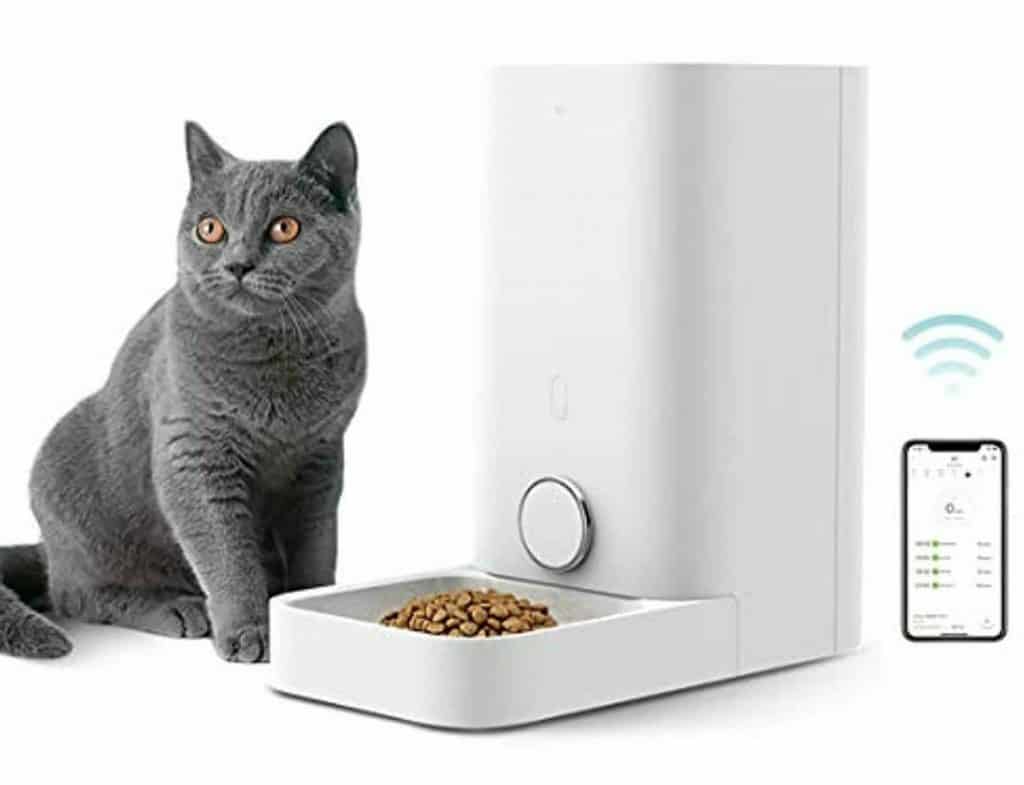 chewy auto cat feeder