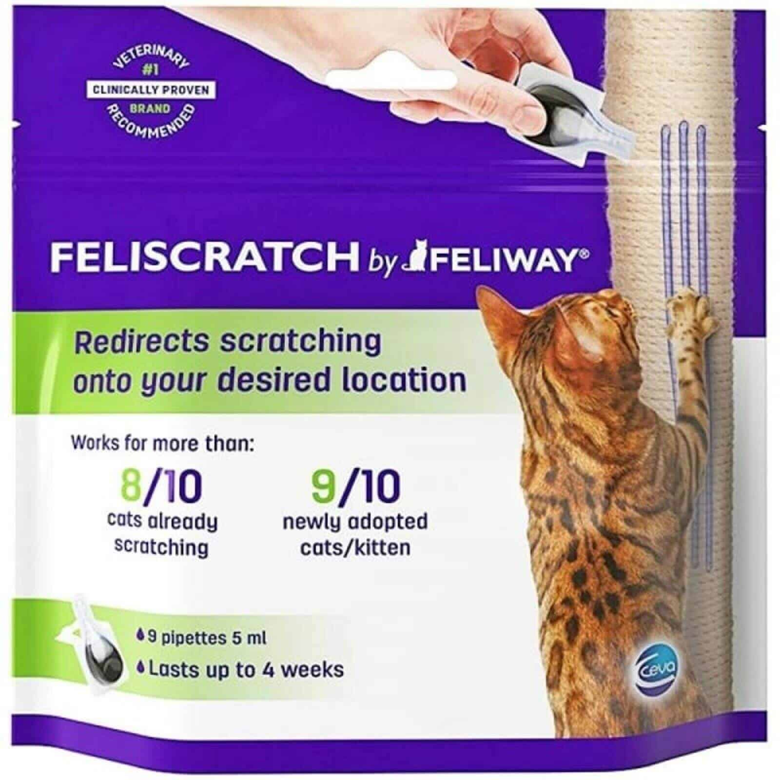 full-feliway-review-scam-or-legit-2020-raise-a-cat