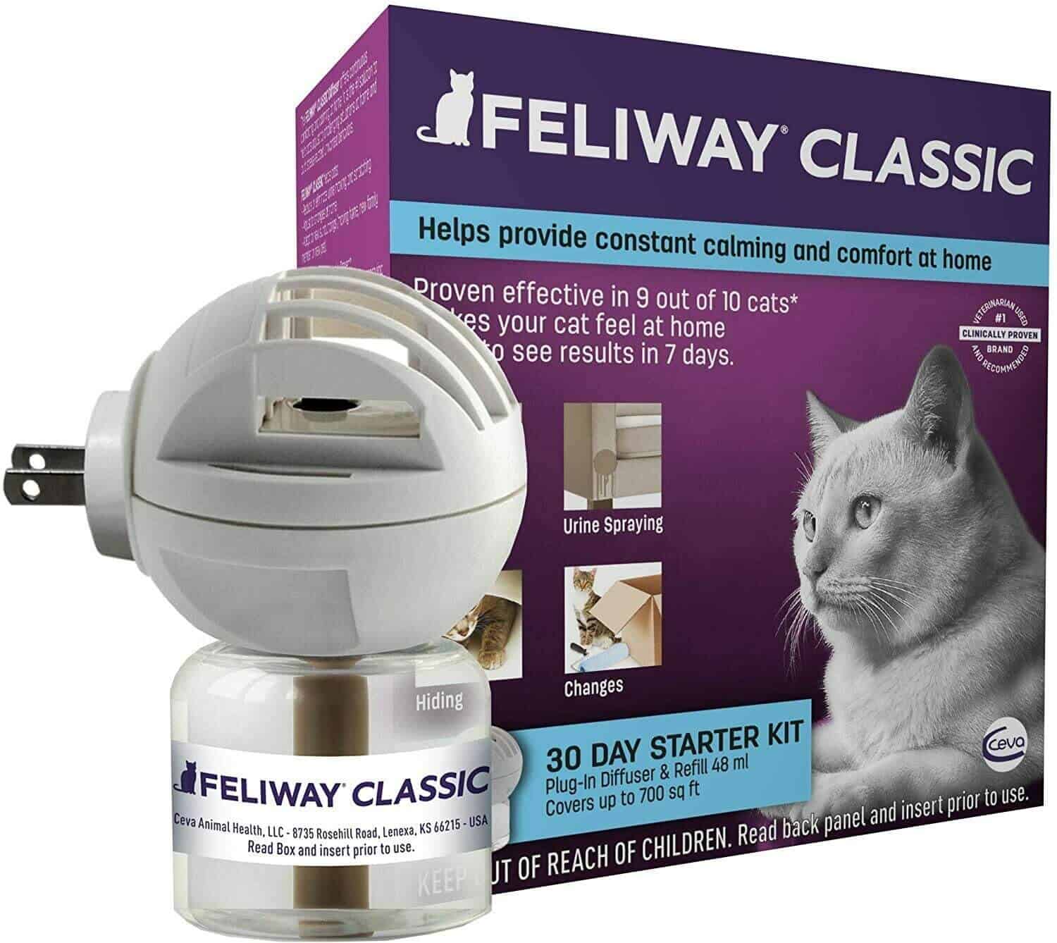 Feliway Diffuser Review: Is It Worth Your Money? | Raise a Cat