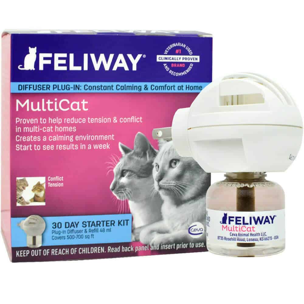 Feliway Diffuser Review Is It Worth Your Money? Raise a Cat