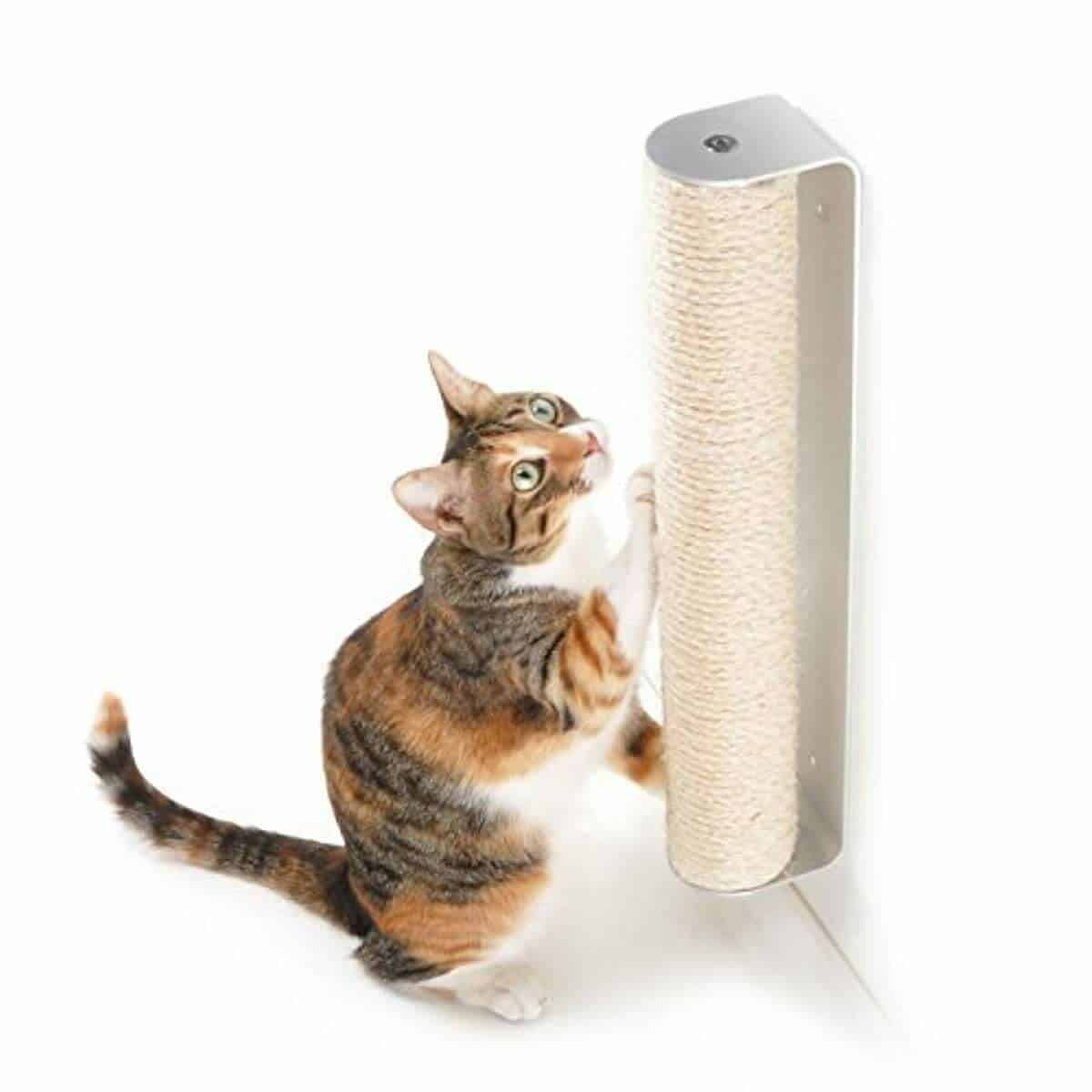 4CLAWS-Wall-Mounted-Scratching-Post-–-Best-for-Kittens