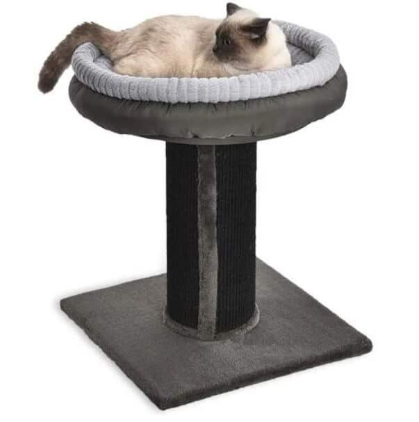 AmazonBasics Cat Scratching Post