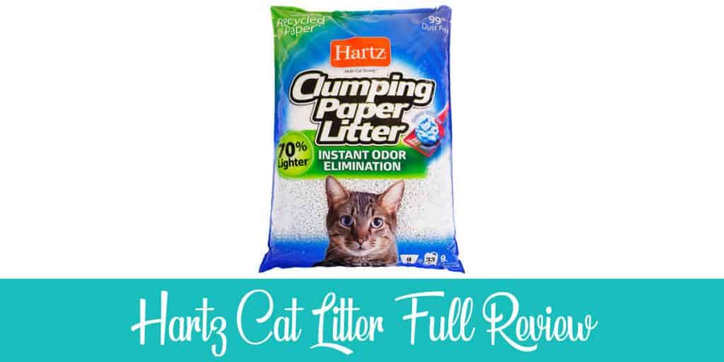 Hartz Cat Litter Review Read This Before Buying!