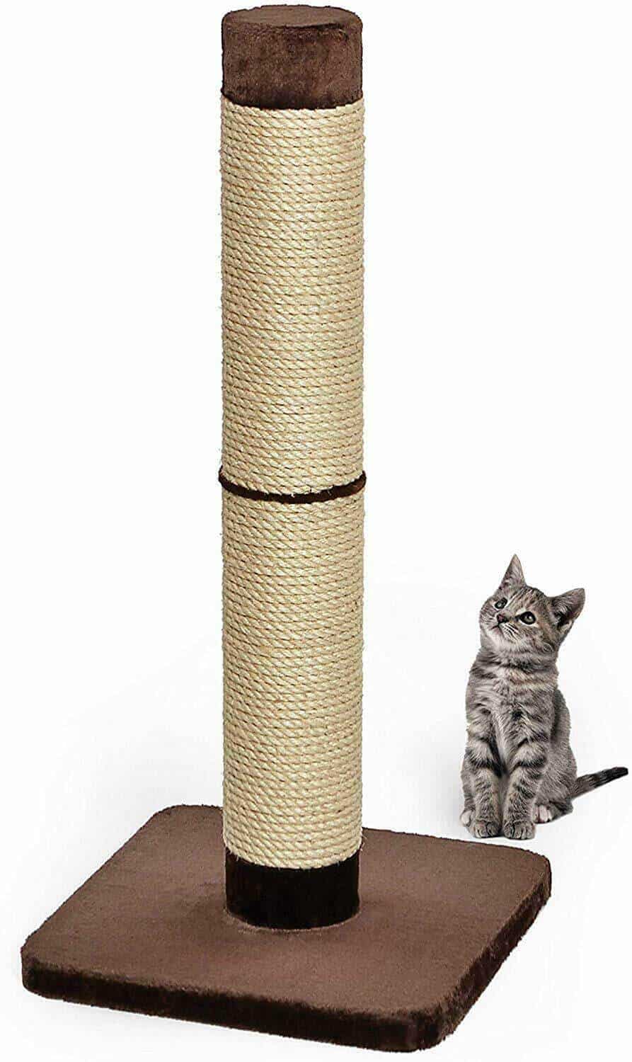 MidWest Cat Furniture | Durable, Stylish Cat Trees & Cat Scratching Posts