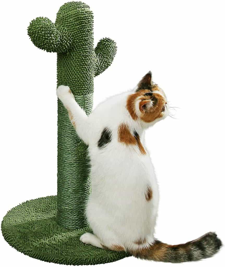 PetnPurr Cat Scratching Post with Teaser Ball