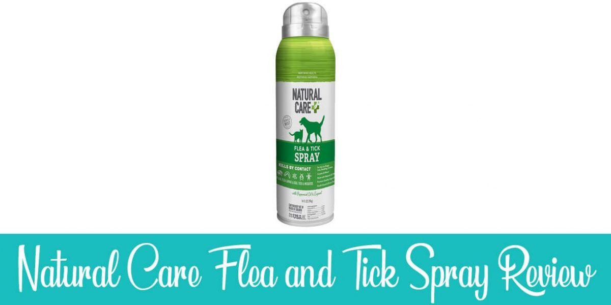 natural care flea spray