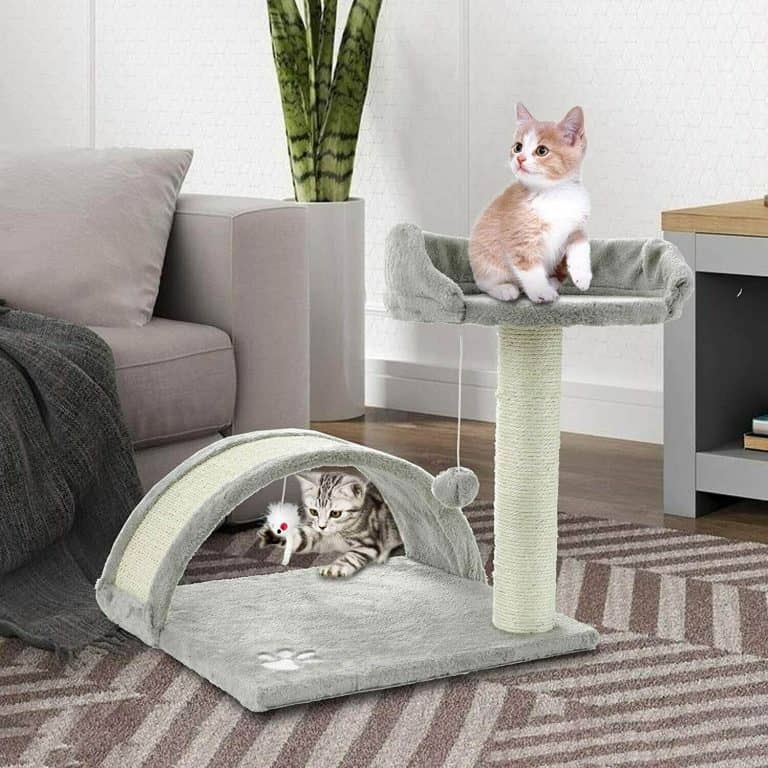 Best Cat Trees for Large Cats 15 Choices for 2021 Raise a Cat