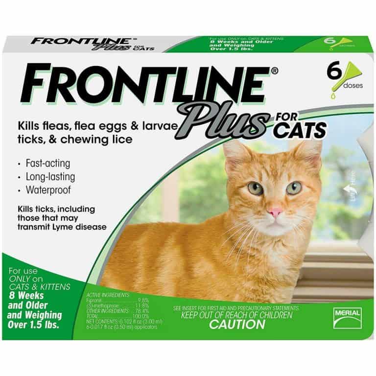 Frontline Plus for Cats Review My Honest Opinion Raise a Cat