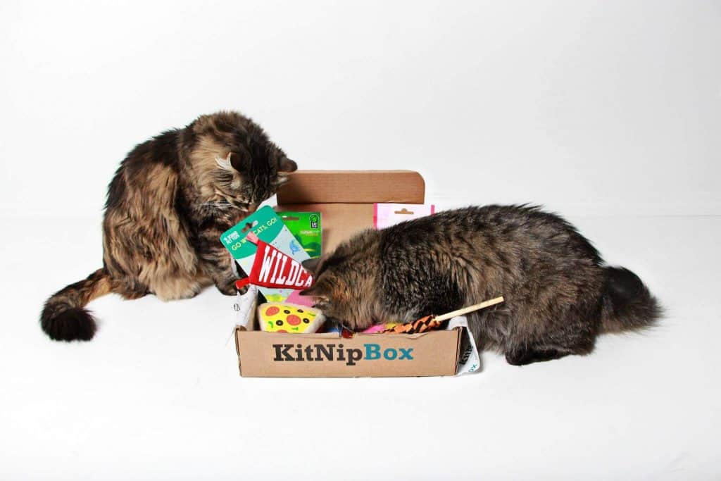 KitNipBox for multiple cats