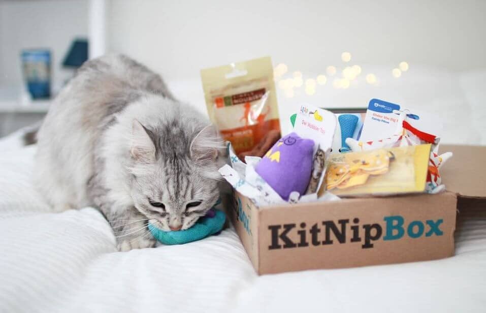 KitNipBox