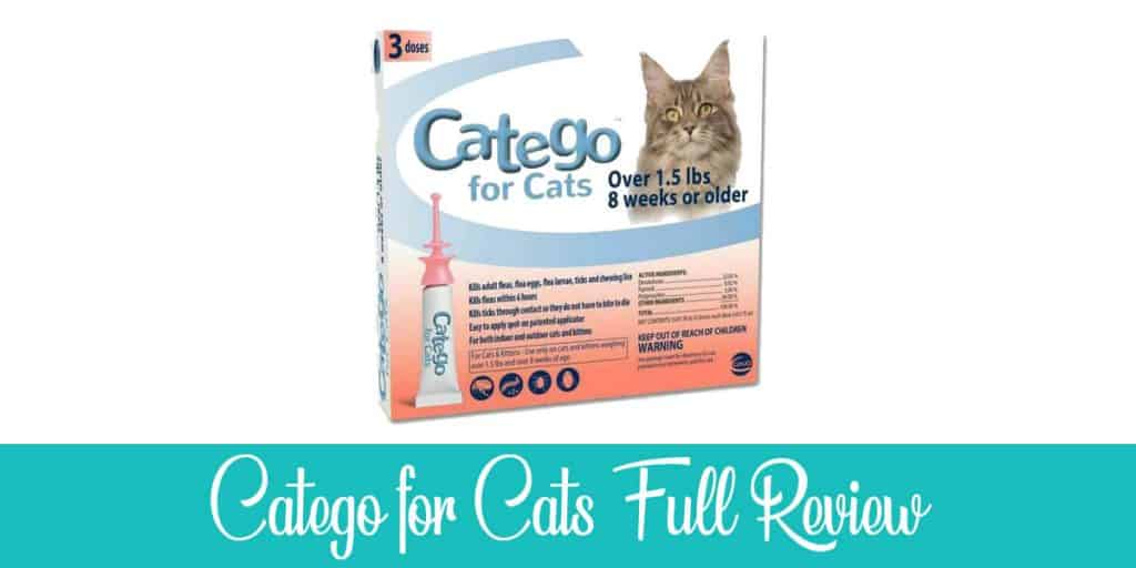 Catego for Cats Review Best Affordable Flea Treatment?