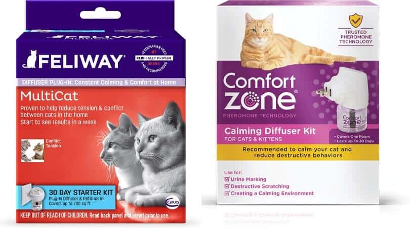 Feliway vs comfort zone