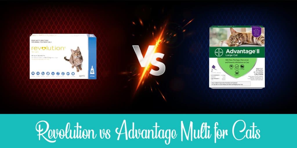 revolution-vs-advantage-multi-full-comparison-2023
