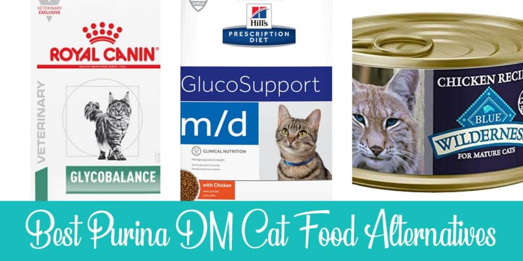 Top 3 Purina DM Cat Food Alternatives on The Market (2021)