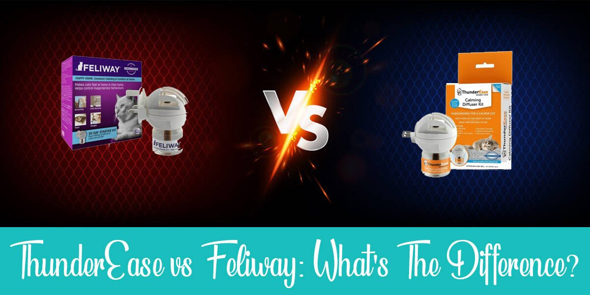 Thunderease vs feliway